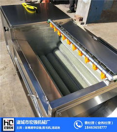 山芋去皮機多少錢 臺州山芋去皮機 諸城宏強機械