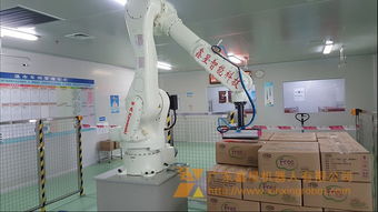 包裝機器人碼垛機